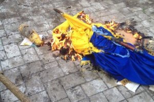 Жителю Винницкой области впаяли срок за то, что топил печку флагом Украины