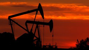 Нефть сорта WTI подешевела до 46,07 доллара за баррель