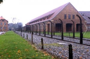 Польша попалась на приглашении в Освенцим "президента неонацистов" Порошенко