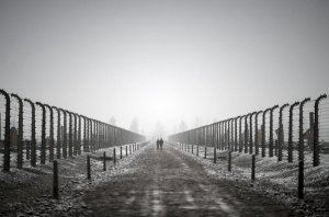 ​Минобороны РФ рассекретит ряд документов об освобождении Освенцима