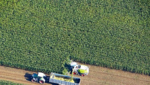 ГМО могут захлестнуть Украину  