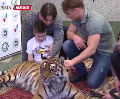 У мальчика Вани, раненного на Донбассе, сбылась мечта увидеть тигра