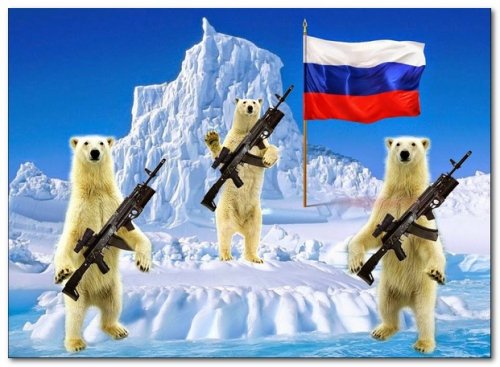 В Госдуме обсудили обустройство границ РФ в Арктике
