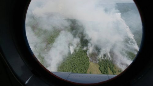 Чрезвычайная ситуация объявлена в Туве из-за лесных пожаров