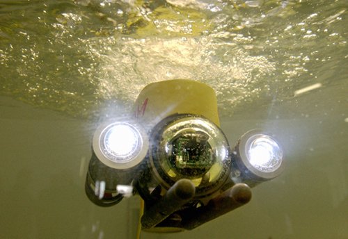 Морские границы России будут охранять подводные роботы