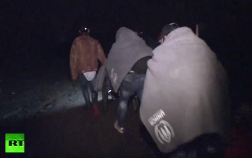 Нелегальные мигранты бесконтрольно пересекают сербско-венгерскую границу