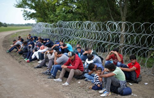 Германия отказались поставлять властям Венгрии колючую проволоку для укрепления границ