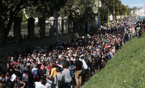 Хорватия отказалась принимать беженцев