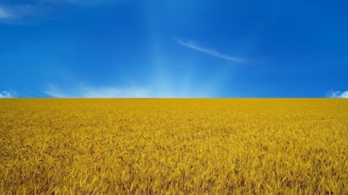 Украина превращается в «тупой сельхозпридаток» Европы