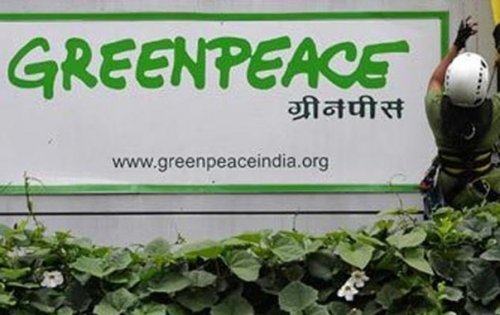 Власти Индии запретили Greenpeace