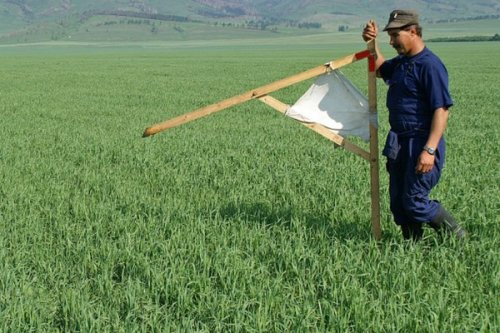 Госдума одобрила законопроект о безвозмездном предоставлении участка гектара на Дальнем Востоке