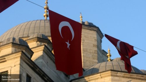 Турецкого подростка арестовали за оскорбление Эрдогана в социальной сети
