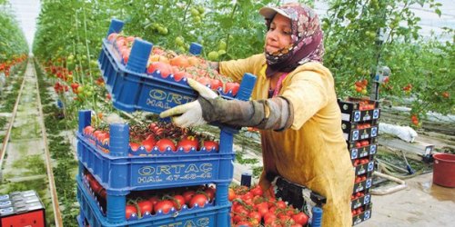 Турецкие фермеры и строители терпят убытки от потери рынка сбыта в РФ