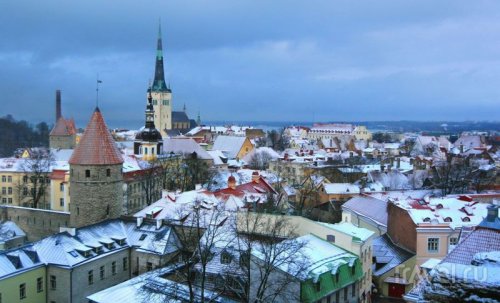 О визе за границу: Поездка в Эстонию
