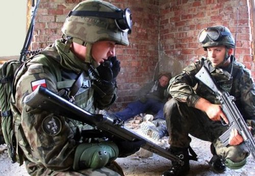 ДНР: В Мариуполе обнаружены польские военные
