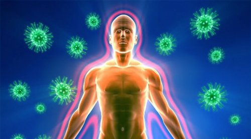 Советы для укрепления иммунитета