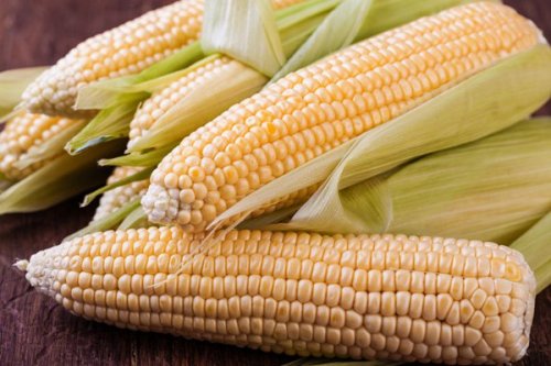 Россия с 15 февраля запретит ввозить кукурузу и сою из США