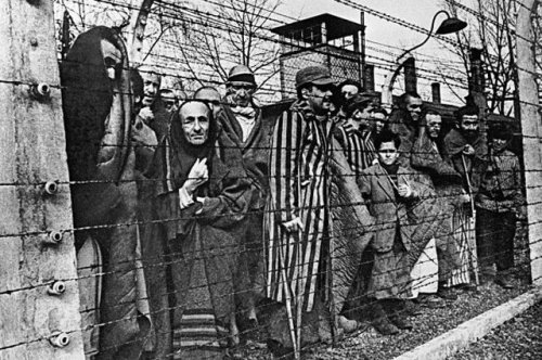 История концлагеря Освенцим