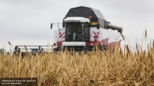 Минсельхоз РФ рассказал, как поднять производство зерна на 25%