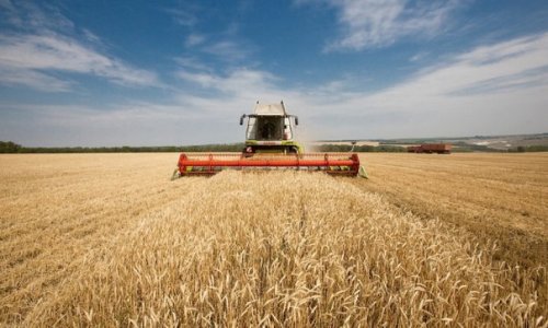 Правительство РФ выделило на фермерские гранты 3,9 млрд рублей