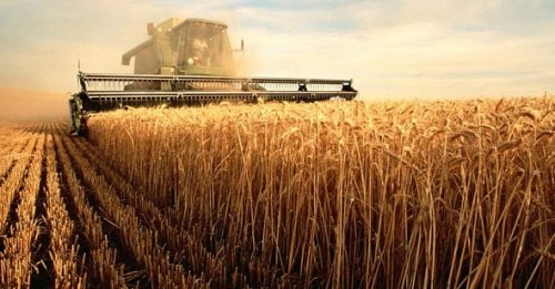 Правительство РФ выделило 3,9 млрд рублей крестьянам и фермерам