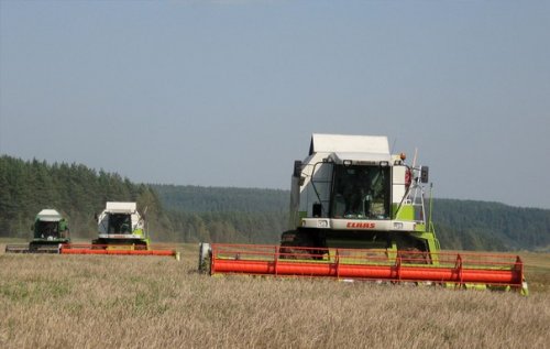 Минсельхоз: объем производства сельхозпродукции в России вырос на 40%