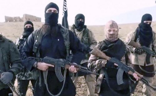 Джихад по-фински: «Горячие скандинавские парни» всё охотнее пополняют ряды боевиков в Сирии