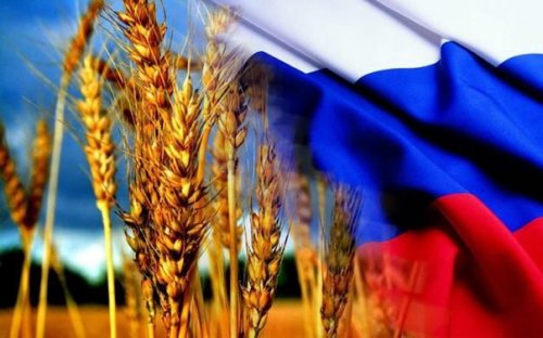 Россия возвращает себе статус «мировой кормилицы»