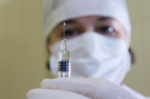 Российские учёные научились распознавать вирус Зика