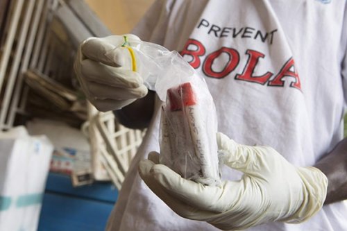 Эболу в Гвинее будут лечить российской вакциной