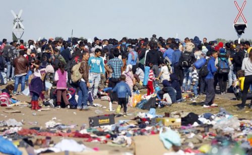 Европе угрожает опасное заболевание из-за сирийских беженцев
