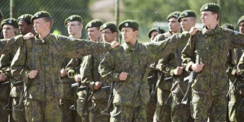 В Финляндии медведь сорвал военные учения, испугав 3000 солдат
