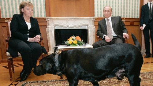 Aftenposten: Путину больше не нужен чёрный лабрадор, чтобы пугать мировых лидеров