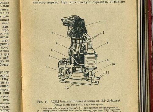 1958 год. Проект «Колли». Робот-киборг СССР!