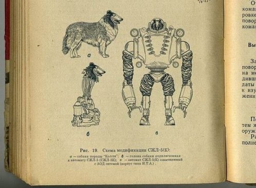 1958 год. Проект «Колли». Робот-киборг СССР!
