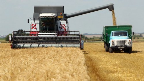 Российское зерно пойдет на рекорд в этом году