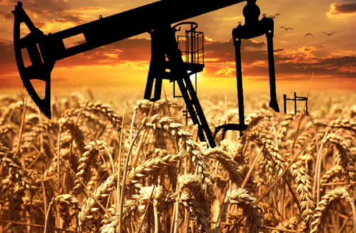 Россия прирастёт нефтью и пшеницей 