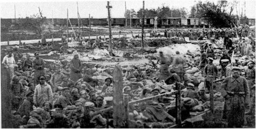 Польские концлагеря и их русские жертвы