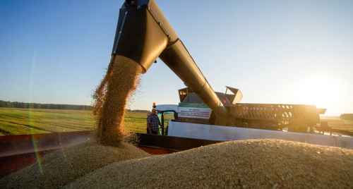 Россия неплохо заработает на качестве пшеницы 