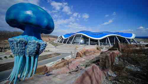 В сентябре откроется Приморский океанариум