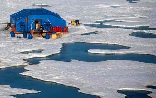 Арктику взорвут айсберги и мигранты 