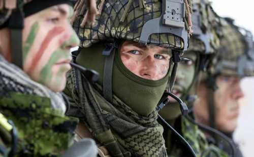 НАТО ищет русскоговорящие мишени за 120 евро 