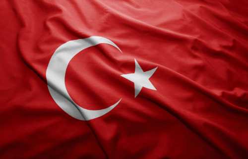 Большинство турок высказались за переход к президентской форме правления 