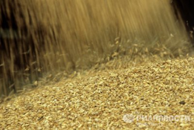 Россия вводит экспортные пошлины на зерно