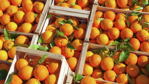Греция просит Россию разрешить импорт апельсинов, клубники и персиков