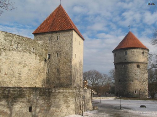 В Эстонии число туристов из России сократилось почти наполовину