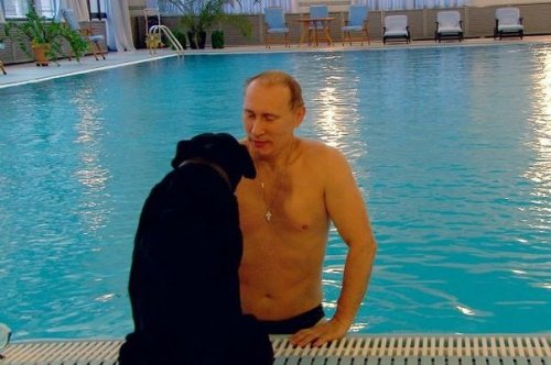 Путин жил. Путин жив! Путин будет жить?