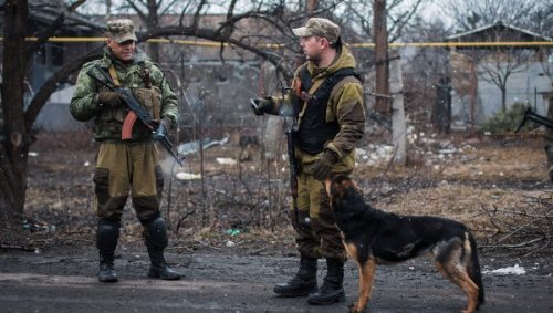 Саперы МЧС ДНР обезвредили около 50 взрывоопасных предметов в Донбассе