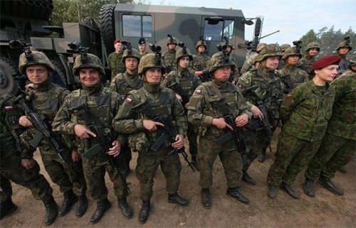 Польша объединяет военизированные группы в армии и полиции