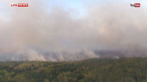 На Украине лесной пожар подобрался вплотную к зоне ЧАЭС
